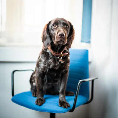 Porträtfoto von Coco, Feelgood Manager bei der UTB